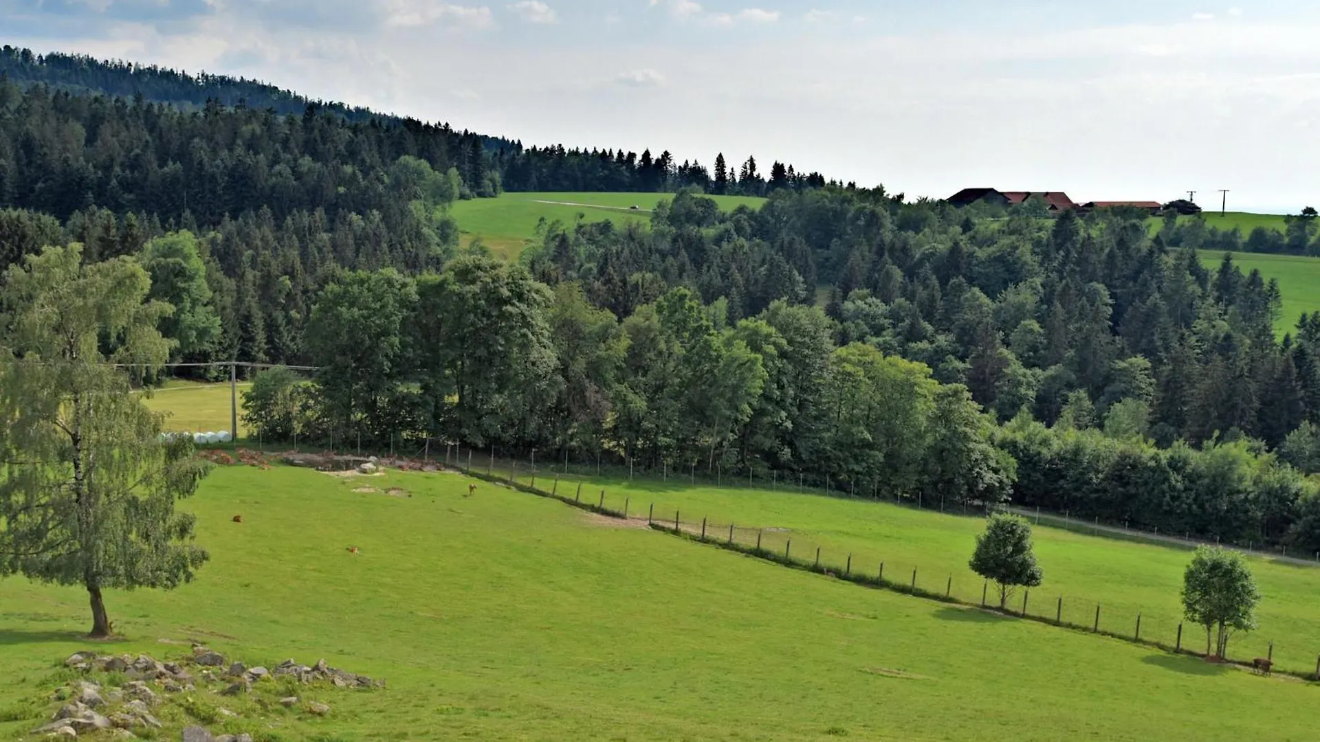 Holiday Home With Panoramic View Waldkirchen Apartament